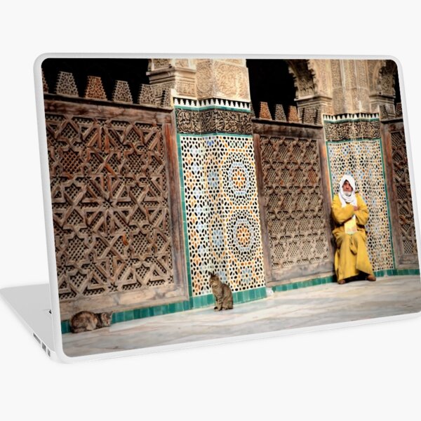 Sun bathing Laptop Skin
