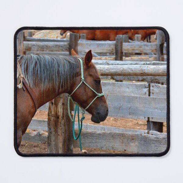 Item preview, horse photo with high resolution quality designed and sold by Allyouneed-2.