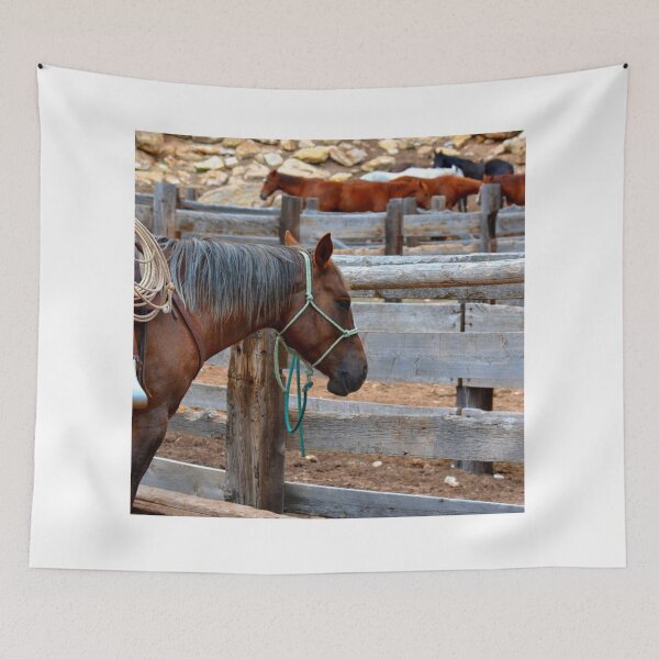 Item preview, horse photo with high resolution quality designed and sold by Allyouneed-2.