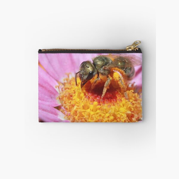 Item preview, Sweat Bee - Halictidae designed and sold by Rina Greeff.