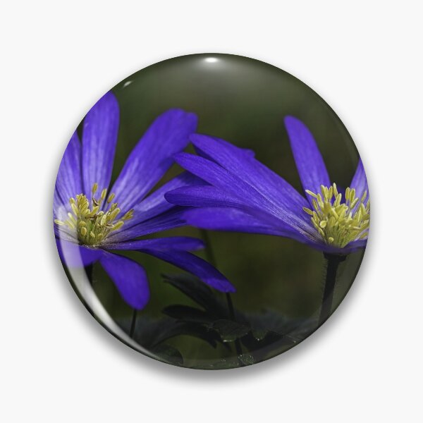 Item preview, Anemone blanda twosome in blue. designed and sold by Nethycurl.