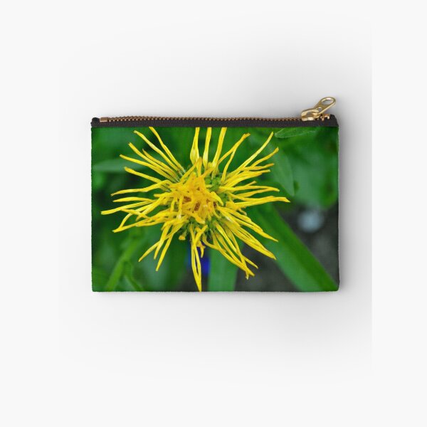 Item preview, Scraggly Calendula No.2 designed and sold by Orla Cahill Photography.