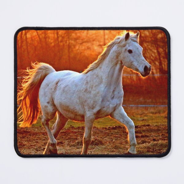 Item preview, horse photo with high resolution quality designed and sold by Allyouneed-2.