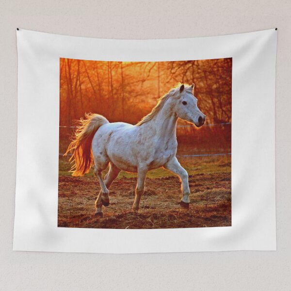 Item preview, horse photo with high resolution quality designed and sold by Allyouneed-2.