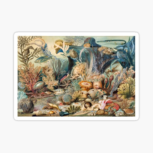 Ocean Life by James M. Sommerville (New color edit) Sticker