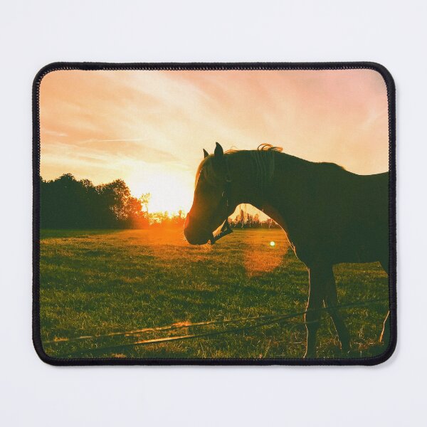 Item preview, horse photo with high resolution quality designed and sold by Allyouneed-2.