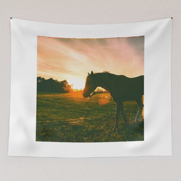 Item preview, horse photo with high resolution quality designed and sold by Allyouneed-2.