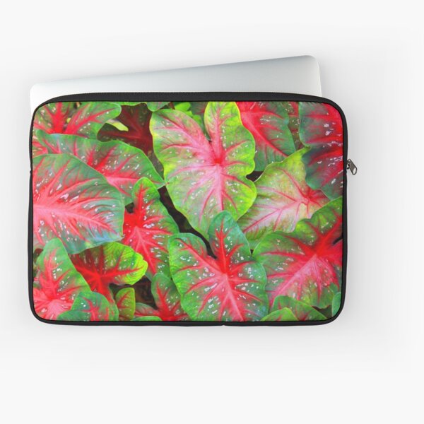 Item preview, Caladium in Red and Green designed and sold by Rosalie Scanlon.