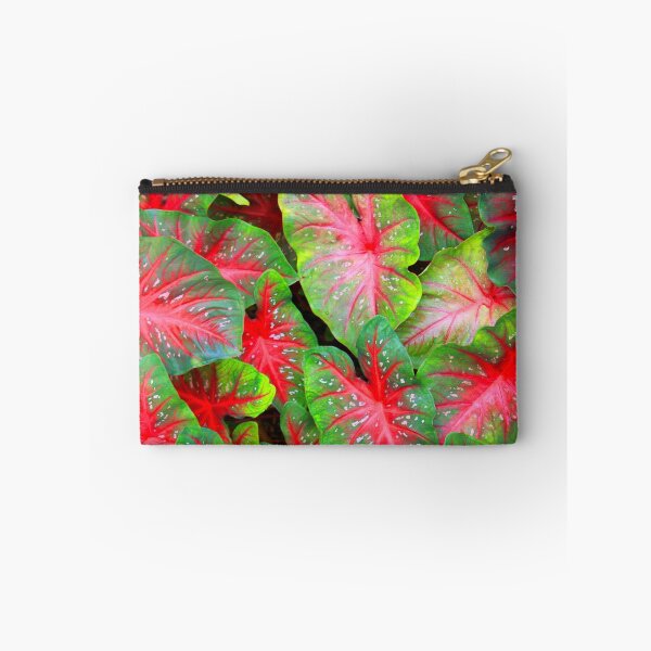 Item preview, Caladium in Red and Green designed and sold by Rosalie Scanlon.