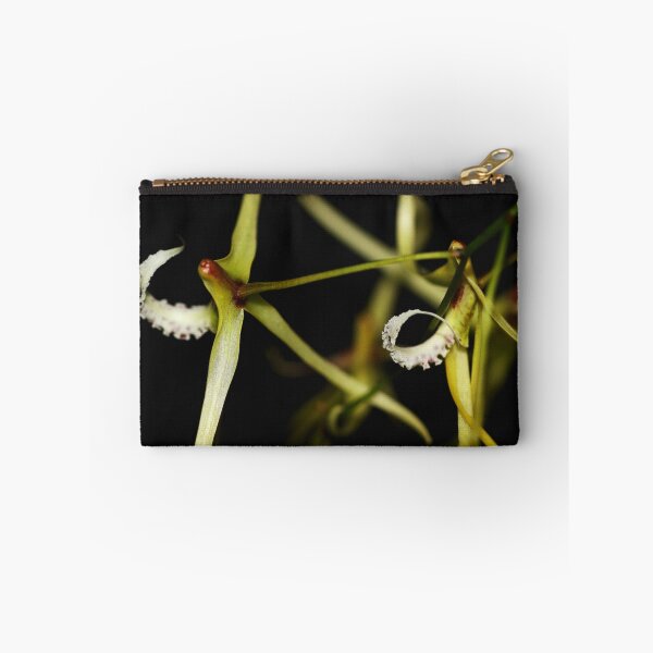 Item preview, Dockrillia teretifolia designed and sold by andrachne.