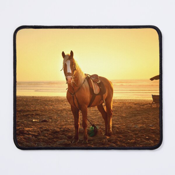 Item preview, horse photo with high resolution quality designed and sold by Allyouneed-2.