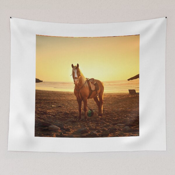 Item preview,  horse photo with high resolution quality designed and sold by Allyouneed-2.