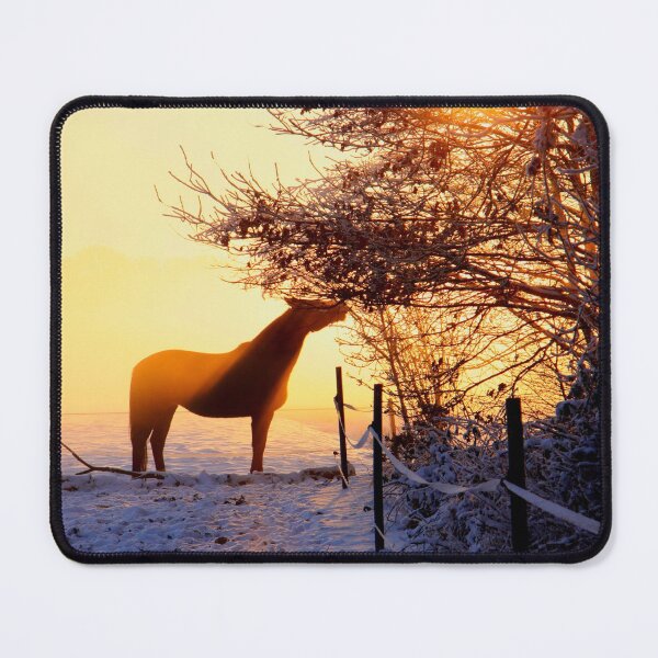 Item preview, horse photo with high resolution quality designed and sold by Allyouneed-2.