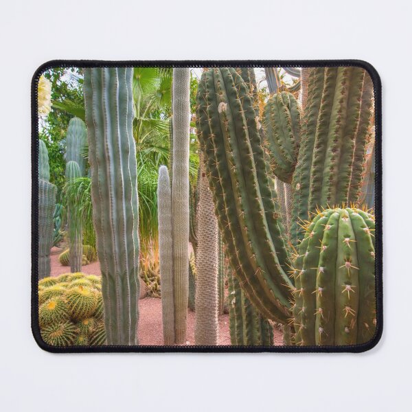 Item preview, Cactus landscape in Majorelle Garden, Morocco designed and sold by mitzobs.