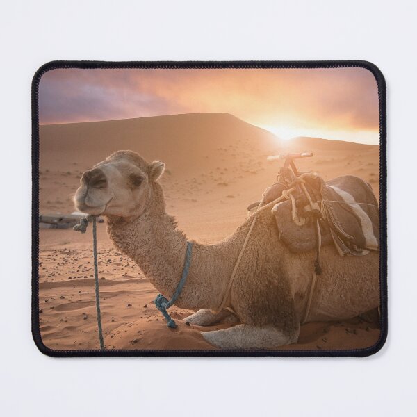 Item preview, Camel in the desert designed and sold by mitzobs.