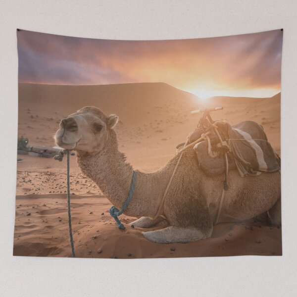 Item preview, Camel in the desert designed and sold by mitzobs.