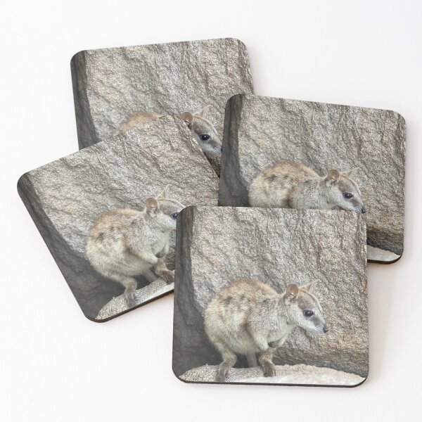 Item preview, Rock wallaby, magnetic island  designed and sold by C-L-Cs.