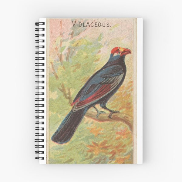 Item preview, Vintage Illustration Tropical Bird | Violaceous designed and sold by koovoxdogs.