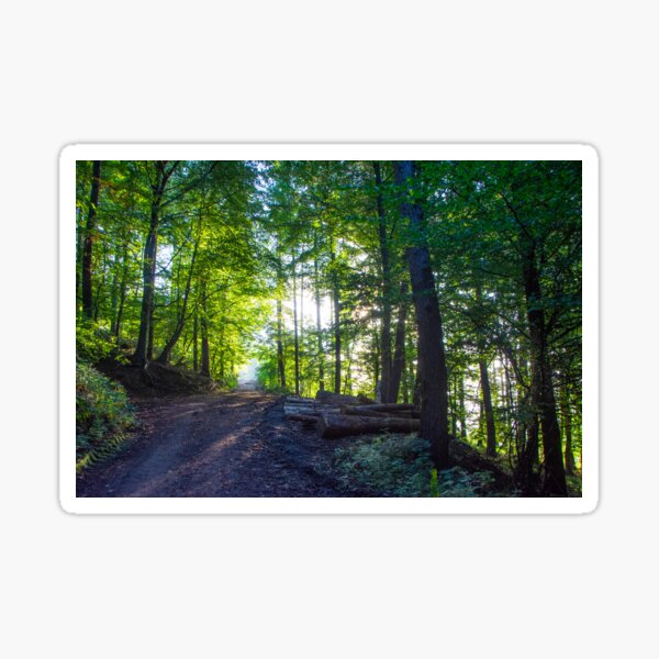Item preview, Walking on the Weser Hill Trail designed and sold by jchanders.