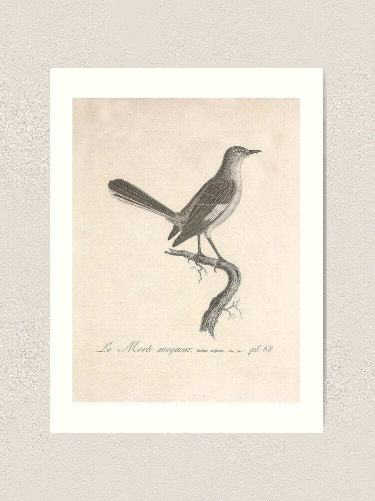 Mockingbird Digital Download Instant Print Lyric Art 
