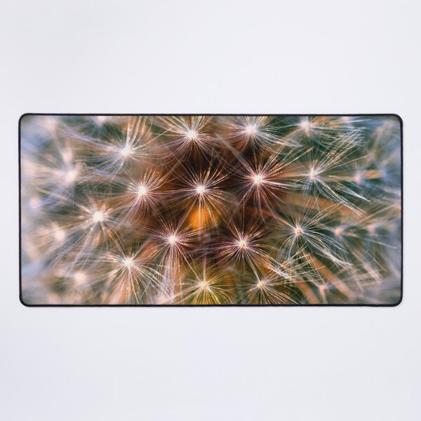 Item preview, Dandelion Seed Head by heidiannemorris designed and sold by FOLK ART FUSION by heidiannemorris.