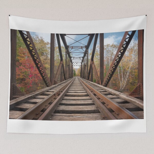 Item preview, Railway Bridge designed and sold by J. S. Wolf Photography.