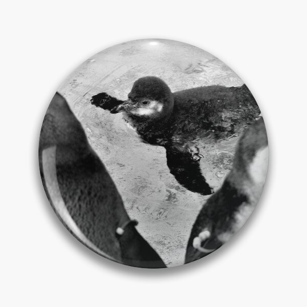 Item preview, P P P Penguins Going For A Dip designed and sold by Andrew Reid Wildman .