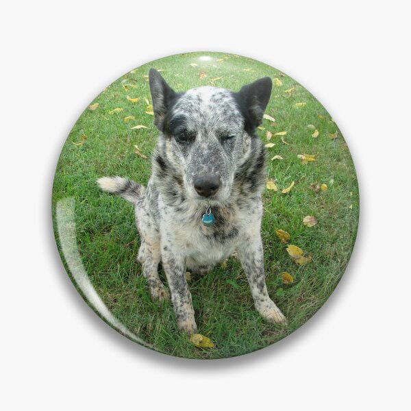 Item preview, Blue, a working dog designed and sold by Jean Gregory Evans.