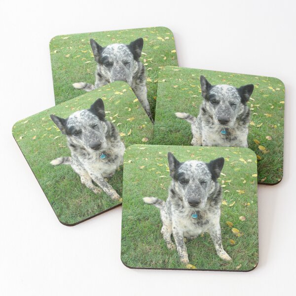 Item preview, Blue, a working dog designed and sold by Jean Gregory Evans.