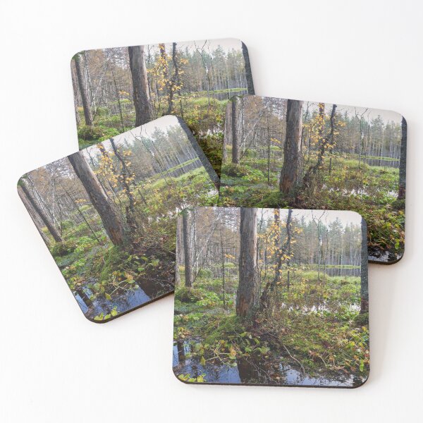 Item preview, Fall colors ar beaverpond designed and sold by Jouko Lehto Photography.