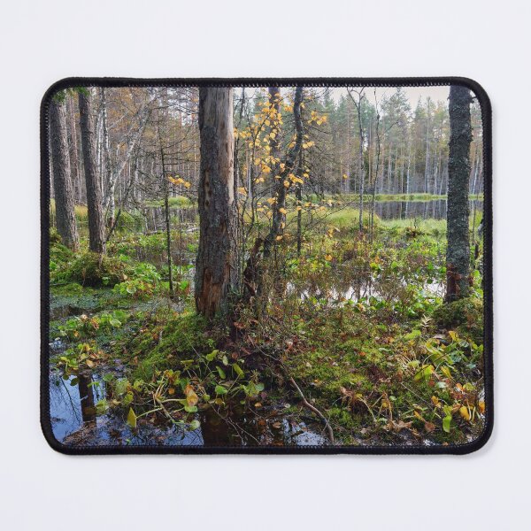 Item preview, Fall colors ar beaverpond designed and sold by Jouko Lehto Photography.