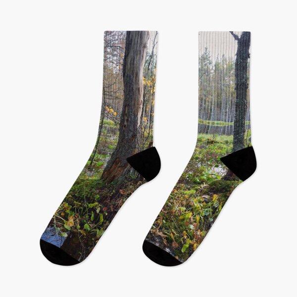 Item preview, Fall colors ar beaverpond designed and sold by Jouko Lehto Photography.