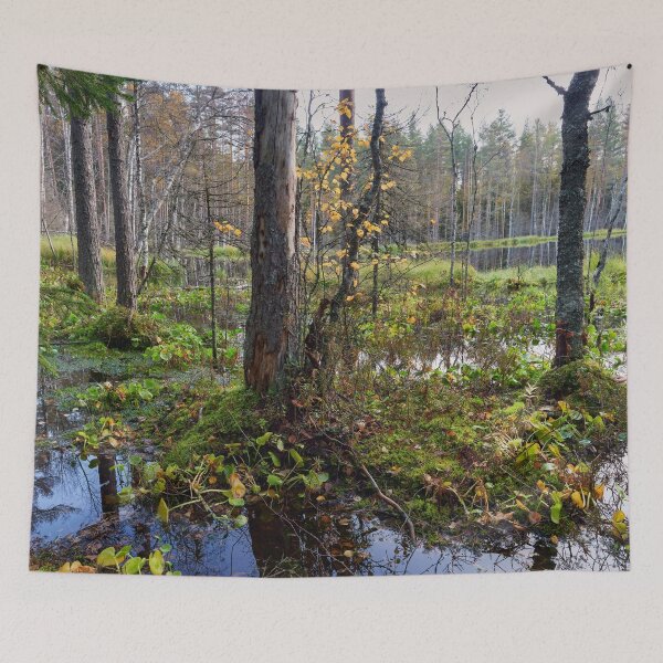 Item preview, Fall colors ar beaverpond designed and sold by Jouko Lehto Photography.