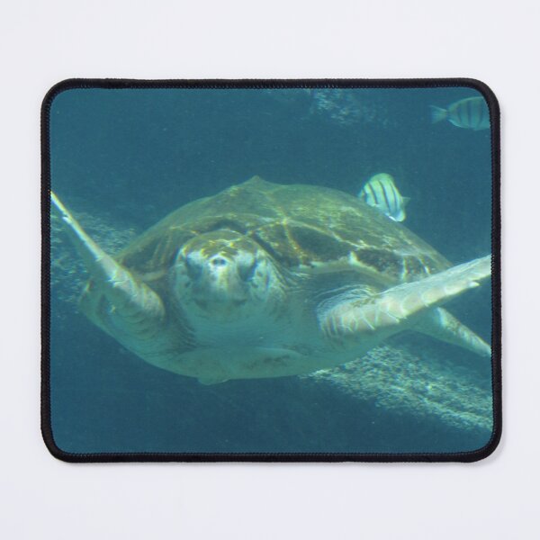 Item preview, Sea life designed and sold by AmateurNature.