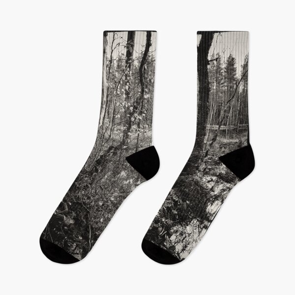 Item preview, Fall colors ar beaverpond bw designed and sold by Jouko Lehto Photography.