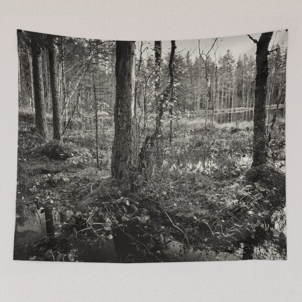 Item preview, Fall colors ar beaverpond bw designed and sold by Jouko Lehto Photography.
