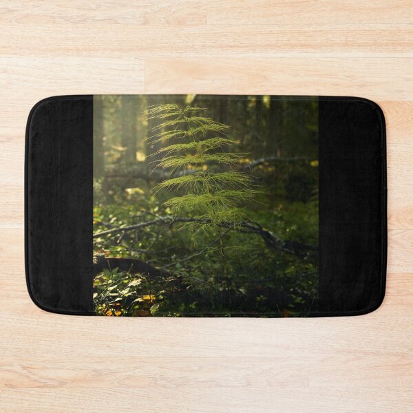 Item preview, Wood horsetail in morning haze designed and sold by Jouko Lehto Photography.