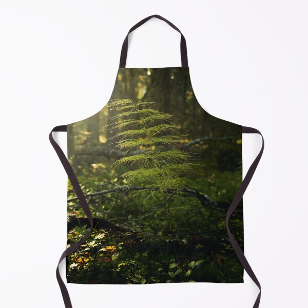 Item preview, Wood horsetail in morning haze designed and sold by Jouko Lehto Photography.