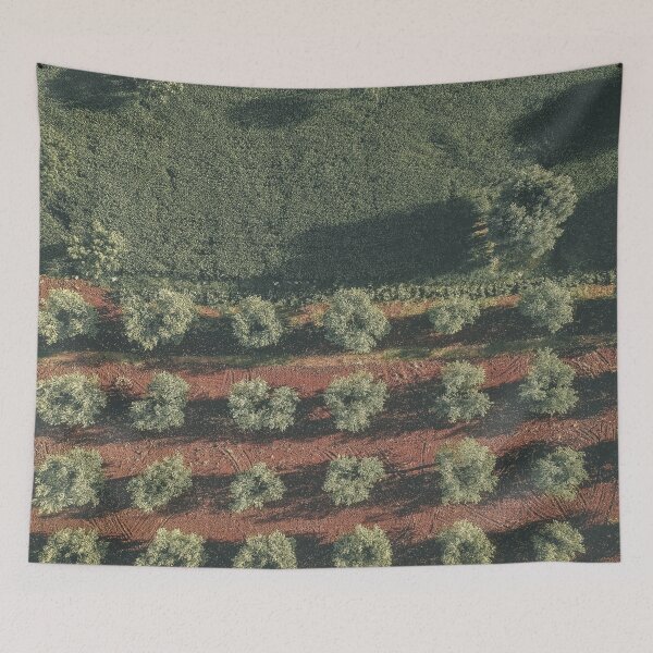 Item preview, Aerial photo, nature textures, drone photography, olive trees, Apulia, Italian countryside designed and sold by Spallutos.