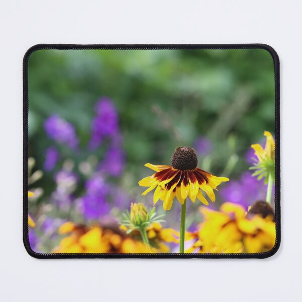Item preview, Complimentary colours designed and sold by GreyFeatherPhot.