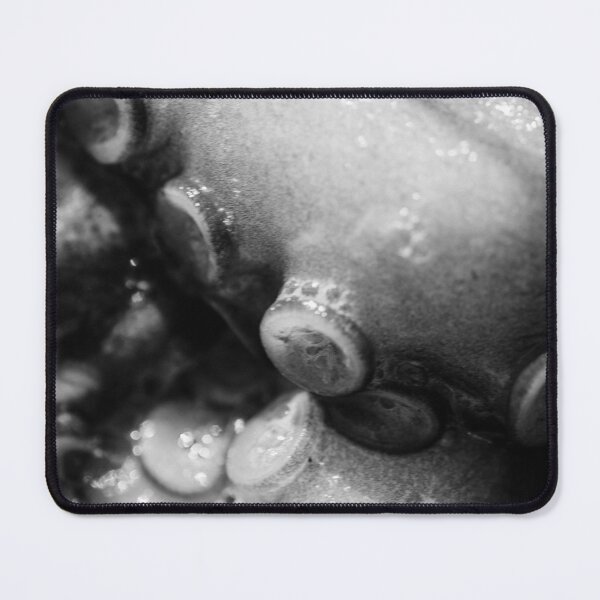 Item preview, Still life, Octopus limbs, macro photo, kitchen decoration, fish restaurant designed and sold by Spallutos.