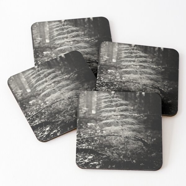 Item preview, Wood horsetail in morning haze bw designed and sold by Jouko Lehto Photography.