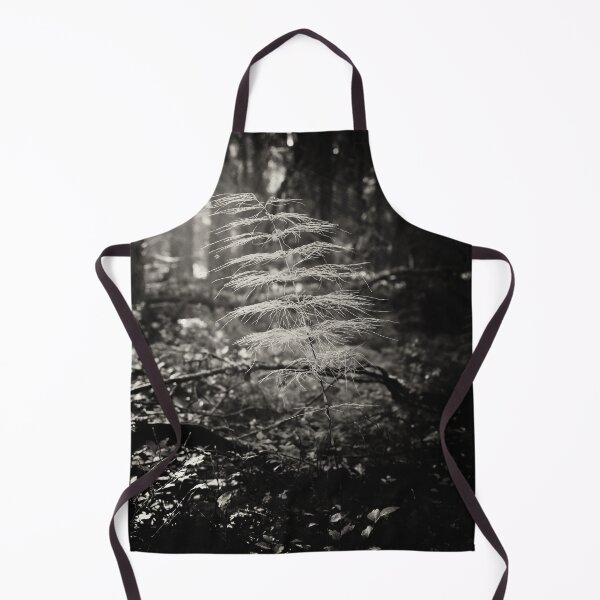 Item preview, Wood horsetail in morning haze bw designed and sold by Jouko Lehto Photography.