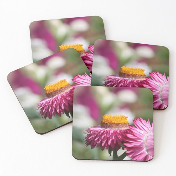 Item preview, Everlasting flower designed and sold by GreyFeatherPhot.