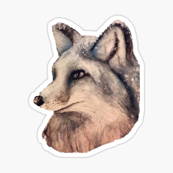 “Arctic Fox " Sticker by csteever | Redbubble