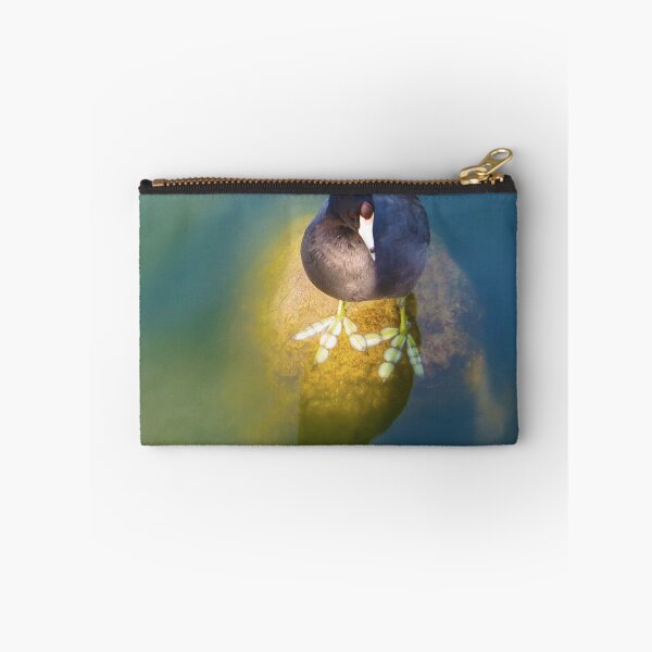 Aperçu de l'œuvre American Coot San Francisco créée et vendue par David Denny.