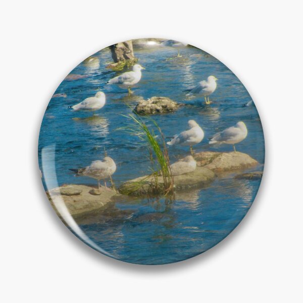 Item preview, Sea gulls on the rocks designed and sold by Shulie1.