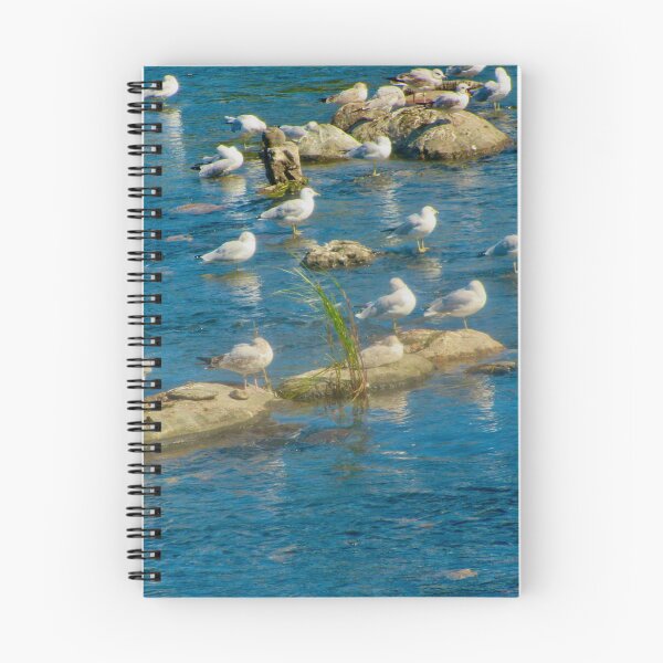 Item preview, Sea gulls on the rocks designed and sold by Shulie1.