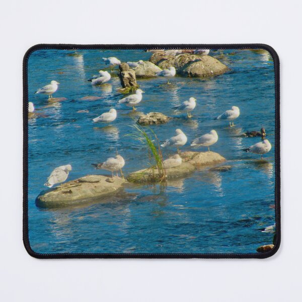 Item preview, Sea gulls on the rocks designed and sold by Shulie1.