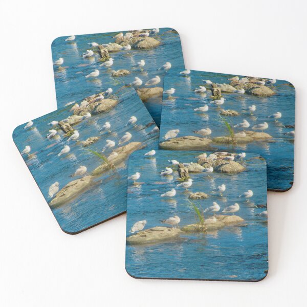 Item preview, Sea gulls on the rocks designed and sold by Shulie1.